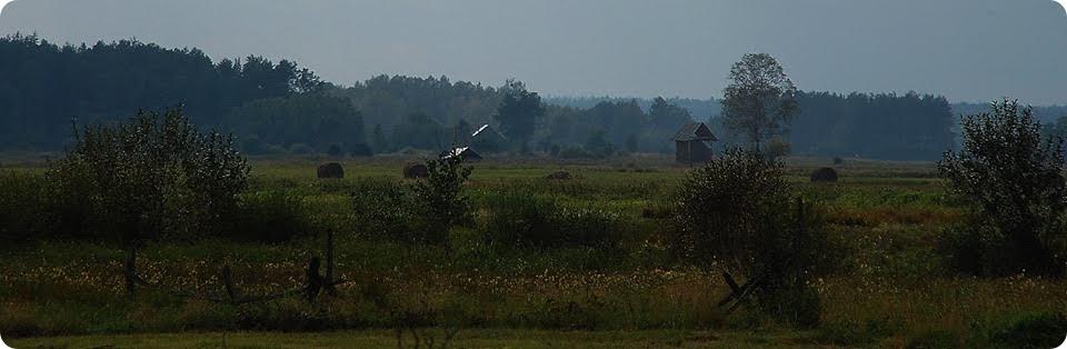 Otulina Puszczy Białowieskiej